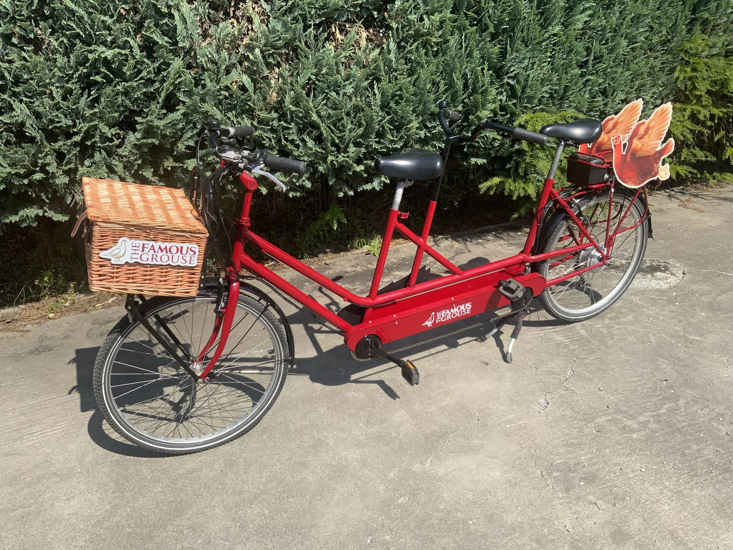 THE FAMOUS GROUSE — The Famous Grouse Bike
